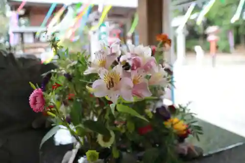 滑川神社 - 仕事と子どもの守り神の手水舎