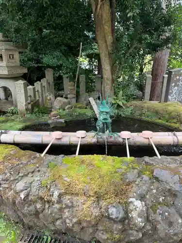 松尾寺(京都府)