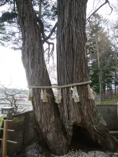 浦幌神社・乳神神社の自然