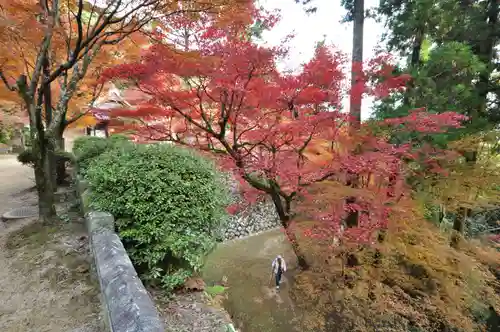 西山興隆寺の自然