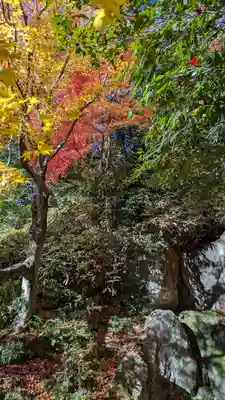 法金剛院(京都府)