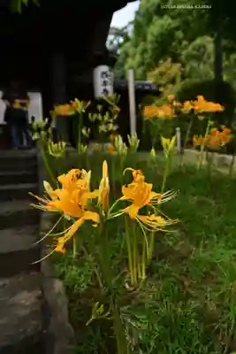横浜　西方寺(神奈川県)