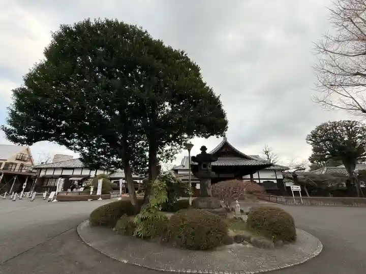 寛永寺(根本中堂)の{uncategorized: "未分類", other: "その他", undefined: "問題あり", building: "その他建物", grave: "お墓", sacred_gate: "鳥居", guardian: "狛犬", statue: "像", buddha: "仏像", history: "歴史", nature: "自然", garden: "庭園", animal: "動物", pagoda: "塔", temizu: "手水舎", mountain_gate: "山門・神門", sanctuary: "本殿・本堂", subordinate: "末社・摂社", art: "芸術", scenery: "景色", jizo: "地蔵", ema: "絵馬", goshuin: "御朱印", omikuji: "おみくじ", items: "授与品その他", amulet: "お守り", goshuincho: "御朱印帳", eats: "食事", festival: "お祭り", votive_dance: "神楽", shichigosan: "七五三参", wedding: "結婚式", experience: "体験その他", initially: "初詣", around: "周辺", anti_infection: "感染症対策"}