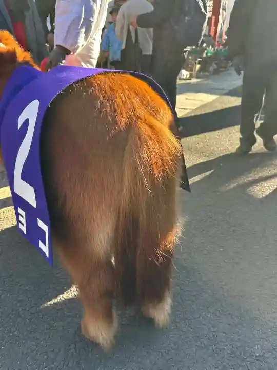 五方山熊野神社(東京都)