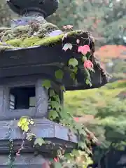 北口本宮冨士浅間神社(山梨県)