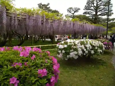 平等院(京都府)
