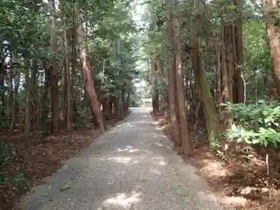 小社神社（皇大神宮末社）の自然