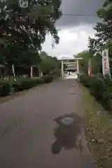 札幌護國神社の周辺