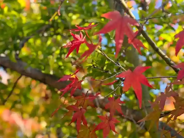 伊勢の国 四天王寺(三重県)