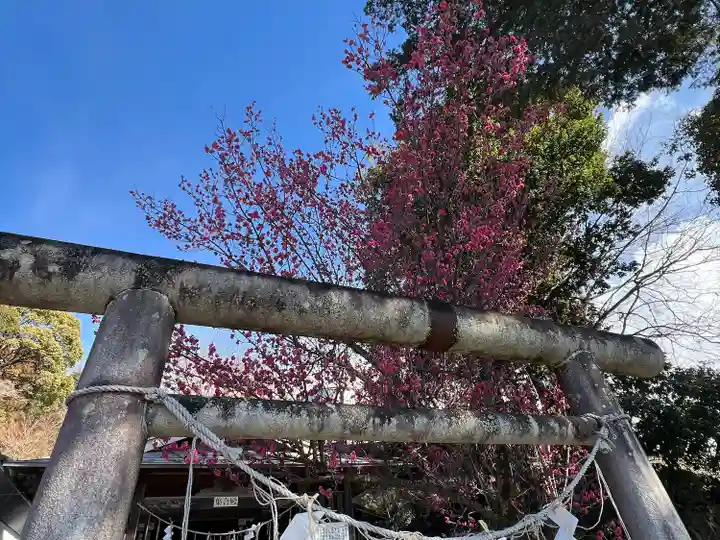 賀茂別雷神社(栃木県)