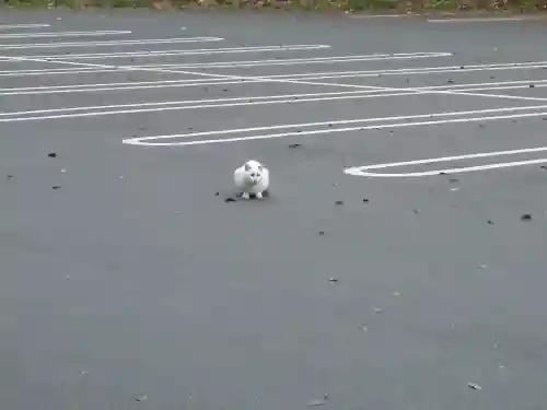 天岩戸神社(宮崎県)