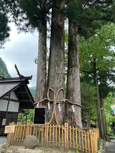 奥氷川神社(東京都)