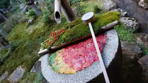 柳谷観音　楊谷寺の手水舎