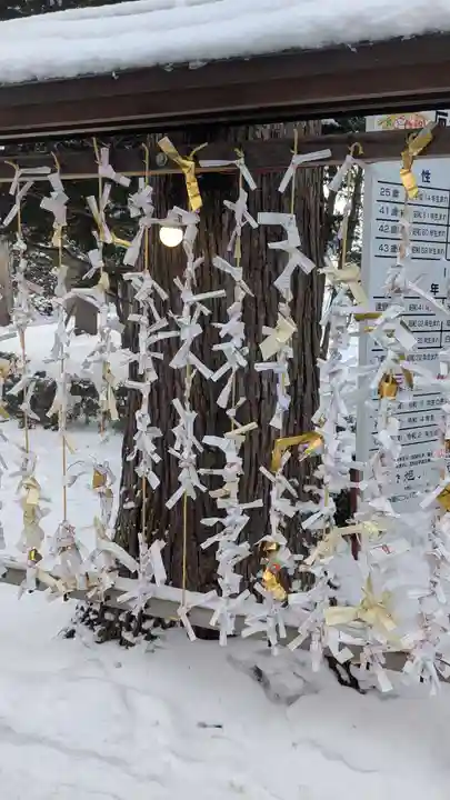 旭川神社のおみくじ