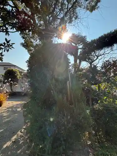 良仙寺(兵庫県)