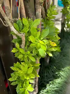 識名宮(沖縄県)