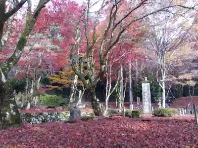 鶏足寺(滋賀県)