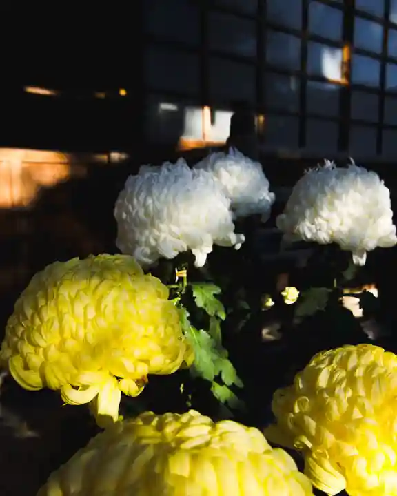 西善寺(埼玉県)