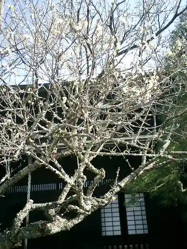 瑞泉寺のその他建物