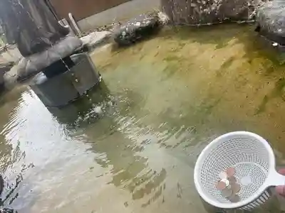 羅漢寺(島根県)