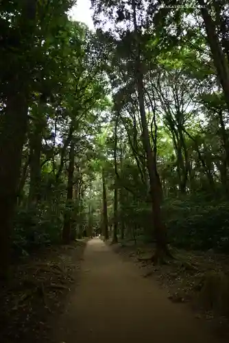 鹿島神宮(茨城県)
