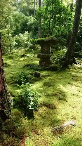 三千院門跡の庭園