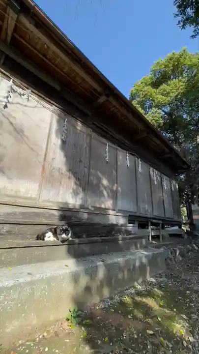 出雲伊波比神社の動物