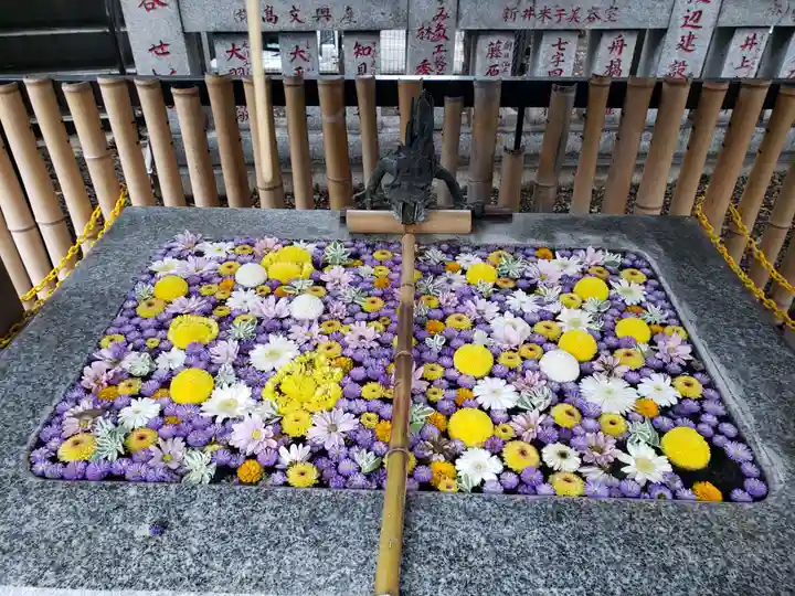 高円寺氷川神社(東京都)