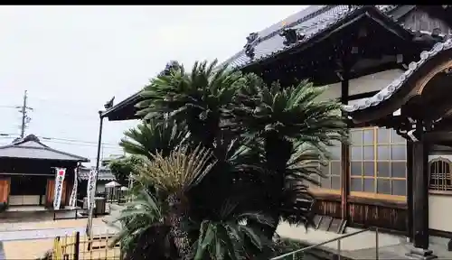 玉泉寺のその他建物