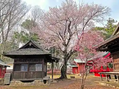 表門神社の自然