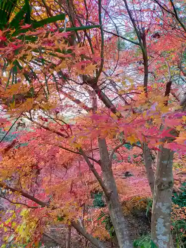 船宿寺(奈良県)