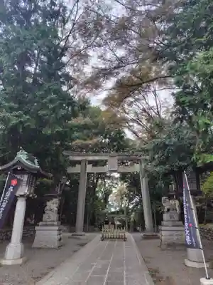 谷保天満宮(東京都)