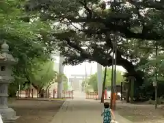 息栖神社の建物その他