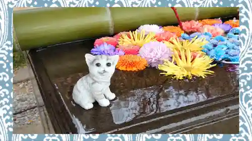 前玉神社(埼玉県)