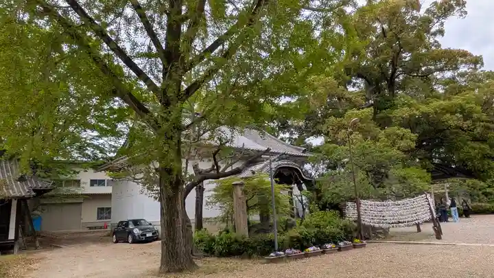 道明寺天満宮(大阪府)