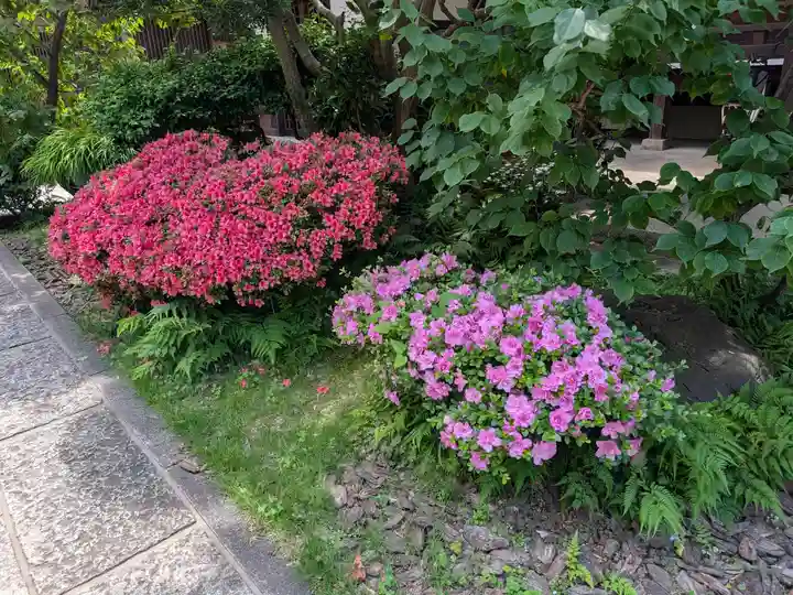 成就院(東京都)