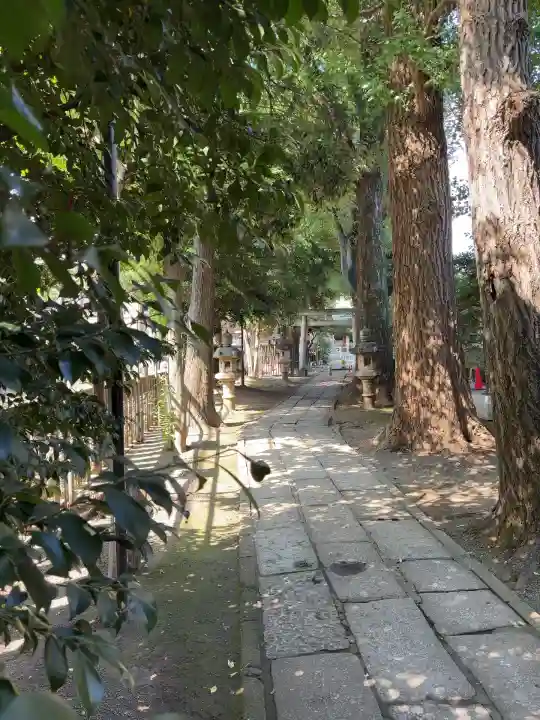 荻窪白山神社(東京都)