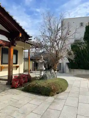 戒行寺の{uncategorized: "未分類", other: "その他", undefined: "問題あり", building: "その他建物", grave: "お墓", sacred_gate: "鳥居", guardian: "狛犬", statue: "像", buddha: "仏像", history: "歴史", nature: "自然", garden: "庭園", animal: "動物", pagoda: "塔", temizu: "手水舎", mountain_gate: "山門・神門", sanctuary: "本殿・本堂", subordinate: "末社・摂社", art: "芸術", scenery: "景色", jizo: "地蔵", ema: "絵馬", goshuin: "御朱印", omikuji: "おみくじ", items: "授与品その他", amulet: "お守り", goshuincho: "御朱印帳", eats: "食事", festival: "お祭り", votive_dance: "神楽", shichigosan: "七五三参", wedding: "結婚式", experience: "体験その他", initially: "初詣", around: "周辺", anti_infection: "感染症対策"}