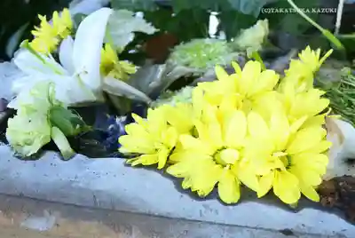 菊名神社(神奈川県)