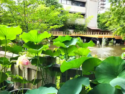 生田神社の自然