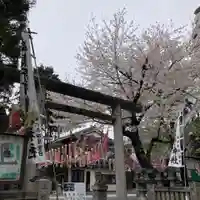 くまくま神社(導きの社 熊野町熊野神社)(東京都)