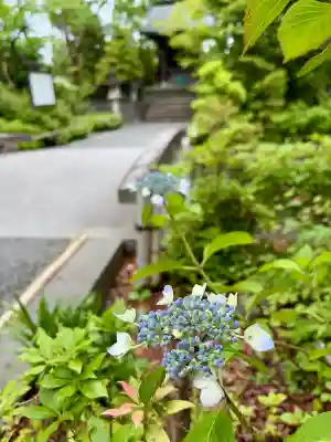 宮山神社の{uncategorized: "未分類", other: "その他", undefined: "問題あり", building: "その他建物", grave: "お墓", sacred_gate: "鳥居", guardian: "狛犬", statue: "像", buddha: "仏像", history: "歴史", nature: "自然", garden: "庭園", animal: "動物", pagoda: "塔", temizu: "手水舎", mountain_gate: "山門・神門", sanctuary: "本殿・本堂", subordinate: "末社・摂社", art: "芸術", scenery: "景色", jizo: "地蔵", ema: "絵馬", goshuin: "御朱印", omikuji: "おみくじ", items: "授与品その他", amulet: "お守り", goshuincho: "御朱印帳", eats: "食事", festival: "お祭り", votive_dance: "神楽", shichigosan: "七五三参", wedding: "結婚式", experience: "体験その他", initially: "初詣", around: "周辺", anti_infection: "感染症対策"}
