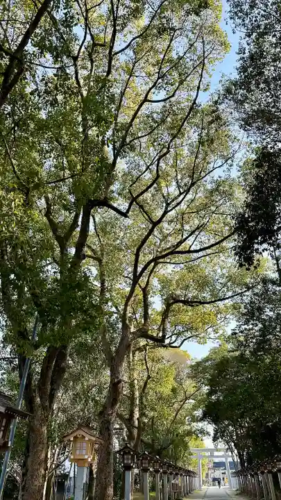 錦織神社(大阪府)