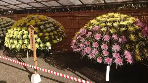 湯島天満宮の芸術