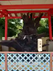 多治速比売神社(大阪府)