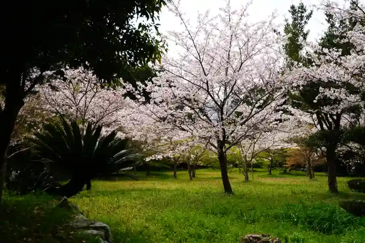 日吉神社の自然