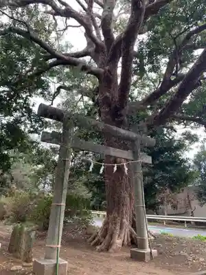 浅間神社(千葉県)