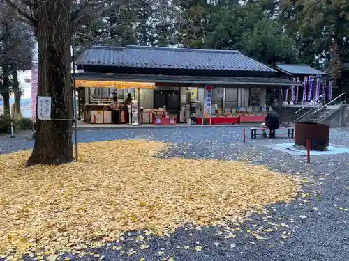 下野 星宮神社(栃木県)