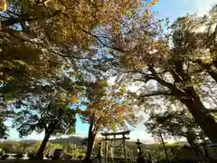 白鳥神社(長野県)