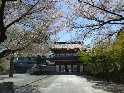 伝通院(東京都)